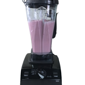 BlendPro X500
