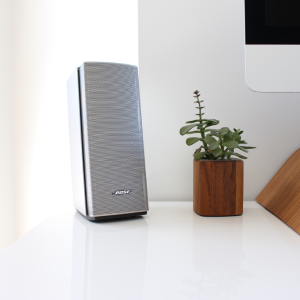 Alexa Speaker